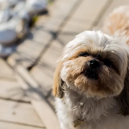 Kapari - Special Category 호텔 4*