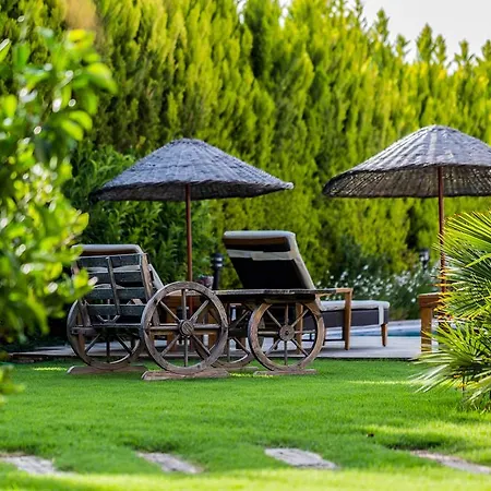 Kapari - Special Category 호텔