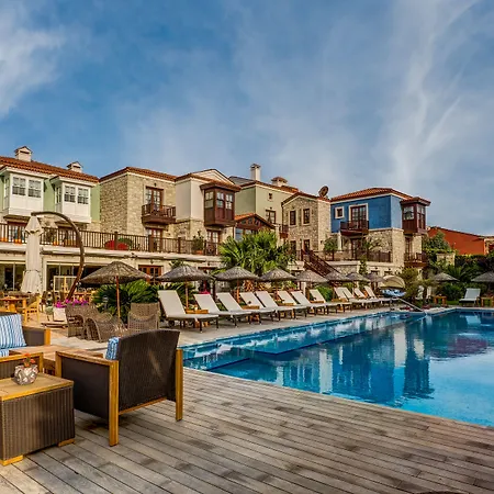 Kapari - Special Category 알라카티