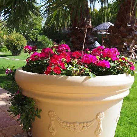 Kapari - Special Category 4* アラカティ