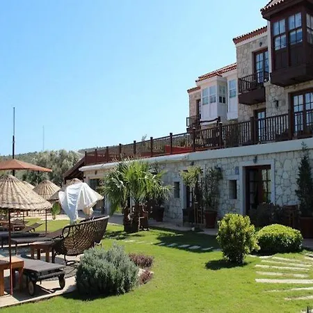 Kapari - Special Category アラカティ