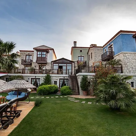 阿拉卡提卡帕里酒店 - 特殊类别 4*