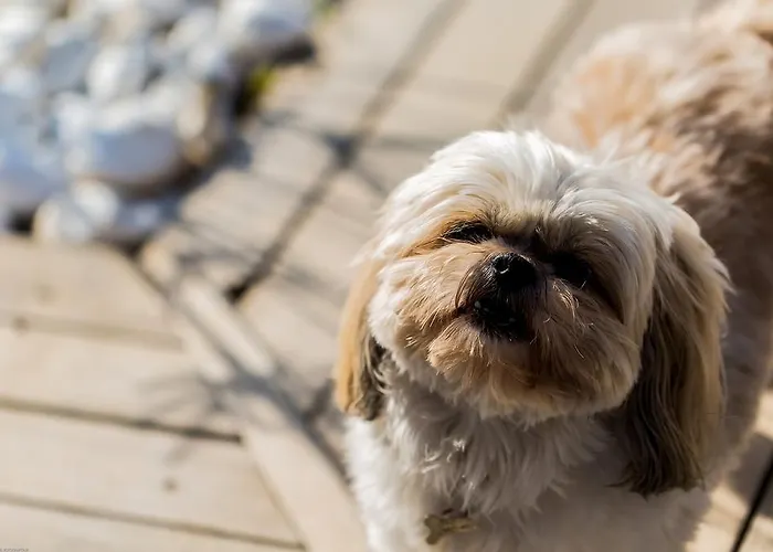 Kapari - Special Category Otel 4*