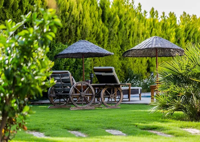 Kapari - Special Category Hotel